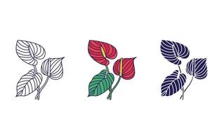 Anthurium flower vector icon