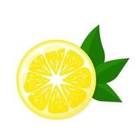 Lemon sliced with green leaf. For posters, logos, labels, banners, stickers, product packaging design, etc. Vector illustration