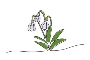 One line snowdrop isolated on white background. Vector illustration continuous one line of white snowdrop. Spring card with snowdrop. Spring flower. Vector