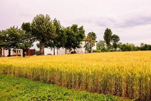 escénico rural paisaje foto