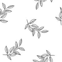 Hand drawing sketching seamless pattern with vector black and gray branches with leaves and berries.. Vector elements for wedding design, logo design, packaging and other ideas