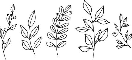 Set of graphic vector plant branches with leaves and flowers. Vector elements for wedding design, logo design, packaging and other ideas