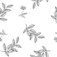 Hand drawing sketching seamless pattern with vector black and gray branches with leaves and berries.. Vector elements for wedding design, logo design, packaging and other ideas