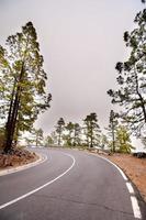 Road in the countryside photo