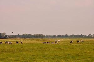 Scenic rural landscape photo