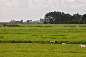 Scenic rural landscape photo