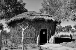 Explore the village of Lop Nur people in Xinjiang photo