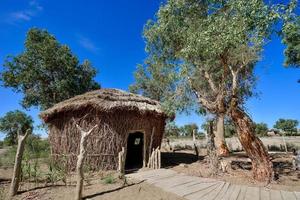 Explore the village of Lop Nur people in Xinjiang photo