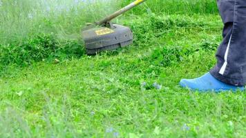 A male gardener mows the green grass of the lawn in the backyard with a gasoline mower. Trimmer for the care of a garden plot video