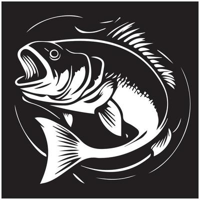 Bass fish line drawing style on white background. Design element