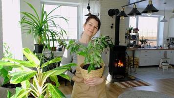 glücklich Frau im ein Grün Haus mit ein eingetopft Pflanze im ihr Hände lächelt, nimmt Pflege von ein Blume. das Innere von ein gemütlich umweltfreundlich Haus, ein Kamin Herd, ein Hobby zum wachsend und Zucht Heimpflanzen video