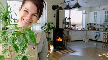 gelukkig vrouw in een groen huis met een ingemaakt fabriek in haar handen glimlacht, duurt zorg van een bloem. de interieur van een knus milieuvriendelijk huis, een haard fornuis, een hobby voor groeit en fokken thuisplanten video