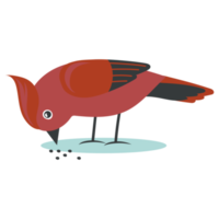 süße vogelillustration png