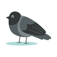 Cute Bird Illustration png