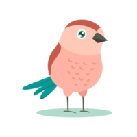 illustration d'oiseau mignon png