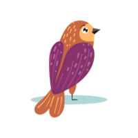 Cute Bird Illustration png