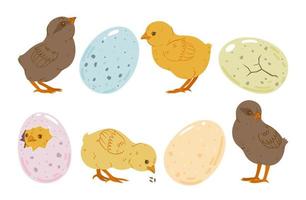 Set of cute chicks and eggs isolated on white shape. Vector graphics.