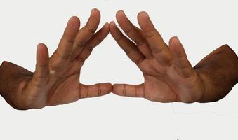 hand mudras. It includes such mudras,. Gestures is isolated on white background. photo