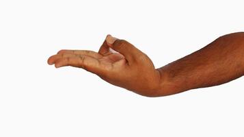 hand mudras. It includes such mudras,. Gestures is isolated on white background. photo