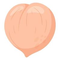 Ripe fresh peach. Vector isolated flat fruit illustration.