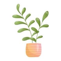 Pot with homemade tropical Plant with Leaves. Vector cartoon isolated illustration of planted ficus.