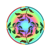 Aesthetic Circle Full Color png