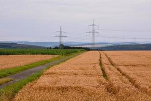 Scenic rural landscape photo