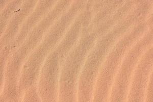 Sand in the desert photo