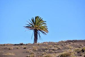 Scenic rural landscape photo