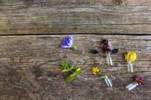 Healing herbs on wooden background. Top view. photo