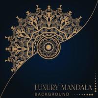 Creative Luxury Decorative Mandala vector