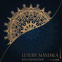 Creative Luxury Decorative Mandala vector