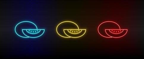 Neon icon set cantaloupe, fruit. Set of red, blue, yellow neon vector icon on dark background