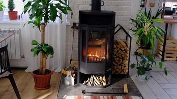 Black Metal Steel fireplace stove with fire and firewood in green home with indoor plant in flower pot in village house. Cozy home hearth in interior with potted plants video