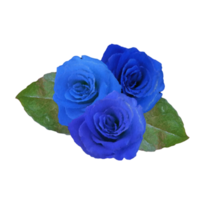 azul Rosa flor elemento png