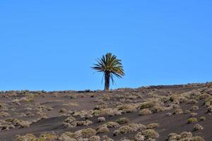 Scenic rural landscape photo