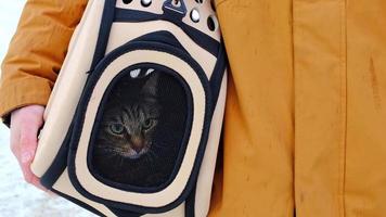 The cat is sitting in a carrier bag on the street in winter in the hands of a man and looks fearfully through the net. Moving a pet, visiting a veterinarian, convenience and safety video