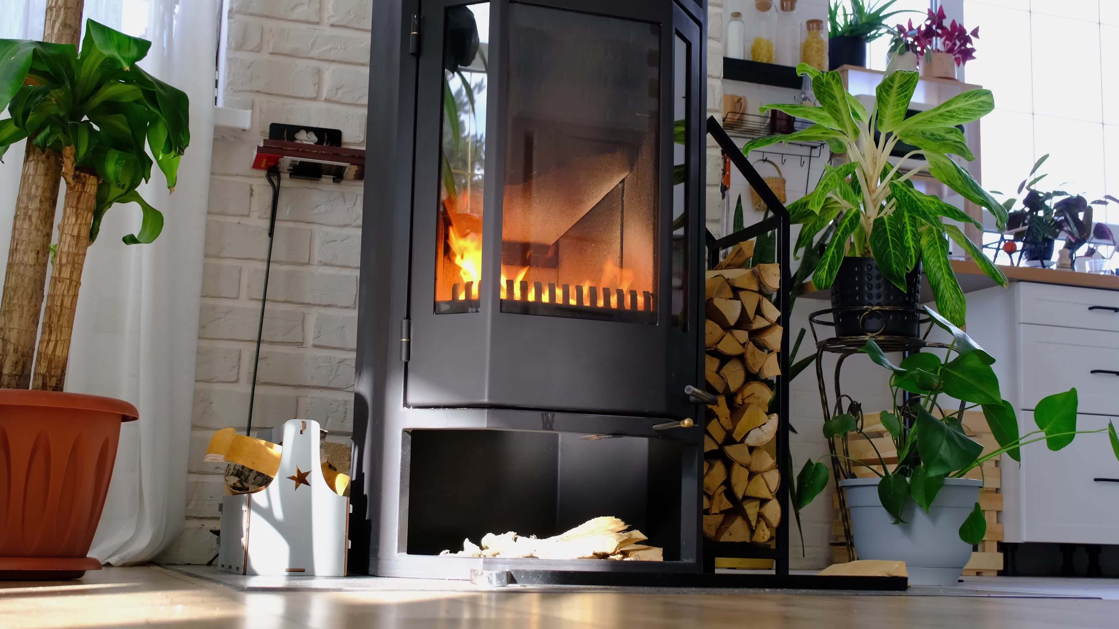 Black Metal Steel fireplace stove with fire and firewood in green home
