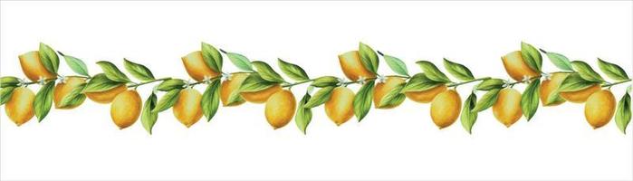 Watercolor banner with fresh ripe lemon with bright green leaves and flowers. Hand drawn cut citrus slices painting on white background vector