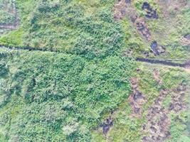 aéreo ver de tierra cartografía por desarmado aéreo vehículo en bogor, Indonesia. foto