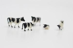 a close up of miniature figures of a herd of cows photo