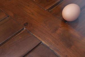 un cerca arriba de un pollo huevo foto