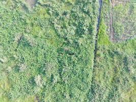 aerial view of land mapping by unmaned aerial vehicle in Bogor, Indonesia. photo