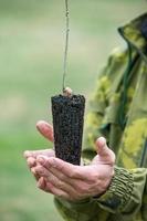 de cerca mano sostener planta de semillero árbol creciente en verde difuminar antecedentes. eco tierra día concepto. bosque conservación concepto. árbol plantando bosque conservación concepto foto