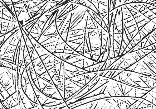 textura vectorial agrietada rústica con muchas grietas y arañazos. fondo abstracto. superficie rota y dañada. telón de fondo envejecido. ilustración gráfica vectorial con blanco transparente. vector