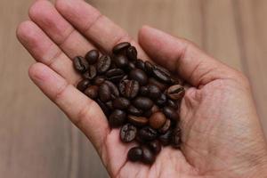 Detailed photo of coffee beans before being processed into a drink isolated on wood. Concept photo of the basic ingredients of coffee drinks.