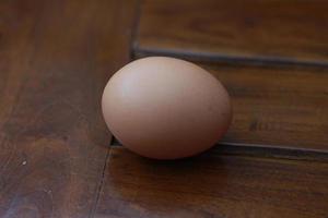 a close up of a chicken egg photo