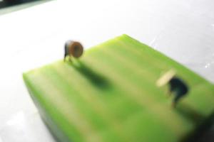 a close up of a miniature figure of a farmer who is farming on a green layer cake like a rice field. farmer farming concept. photo