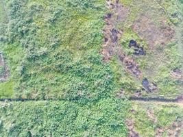 aéreo ver de tierra cartografía por desarmado aéreo vehículo en bogor, Indonesia. foto