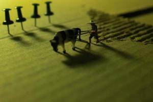 miniature figure of a farmer plowing a field with his cow on a cardboard. photo